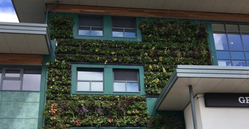 vertical garden Somerset